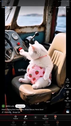 SVID_20251023_101205_1.mp4