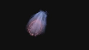 3i Atlas. AVI & SUNO AI. 3I/ATLAS. 3 ай Атлас.