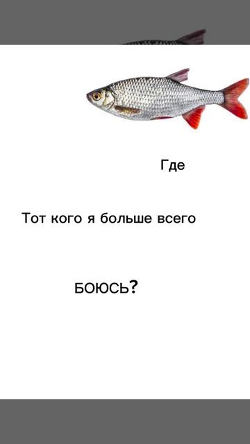 Эдит с щукой 🎣 смотреть онлайн