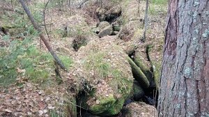 Экспедиция за золотом в суровую уральскую тайгу