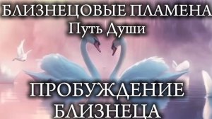 ПРОБУЖДЕНИЕ БЛИЗНЕЦА