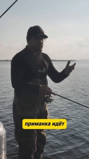 Новые цвета Bet-A и Kalikana — гипноз и провокация!