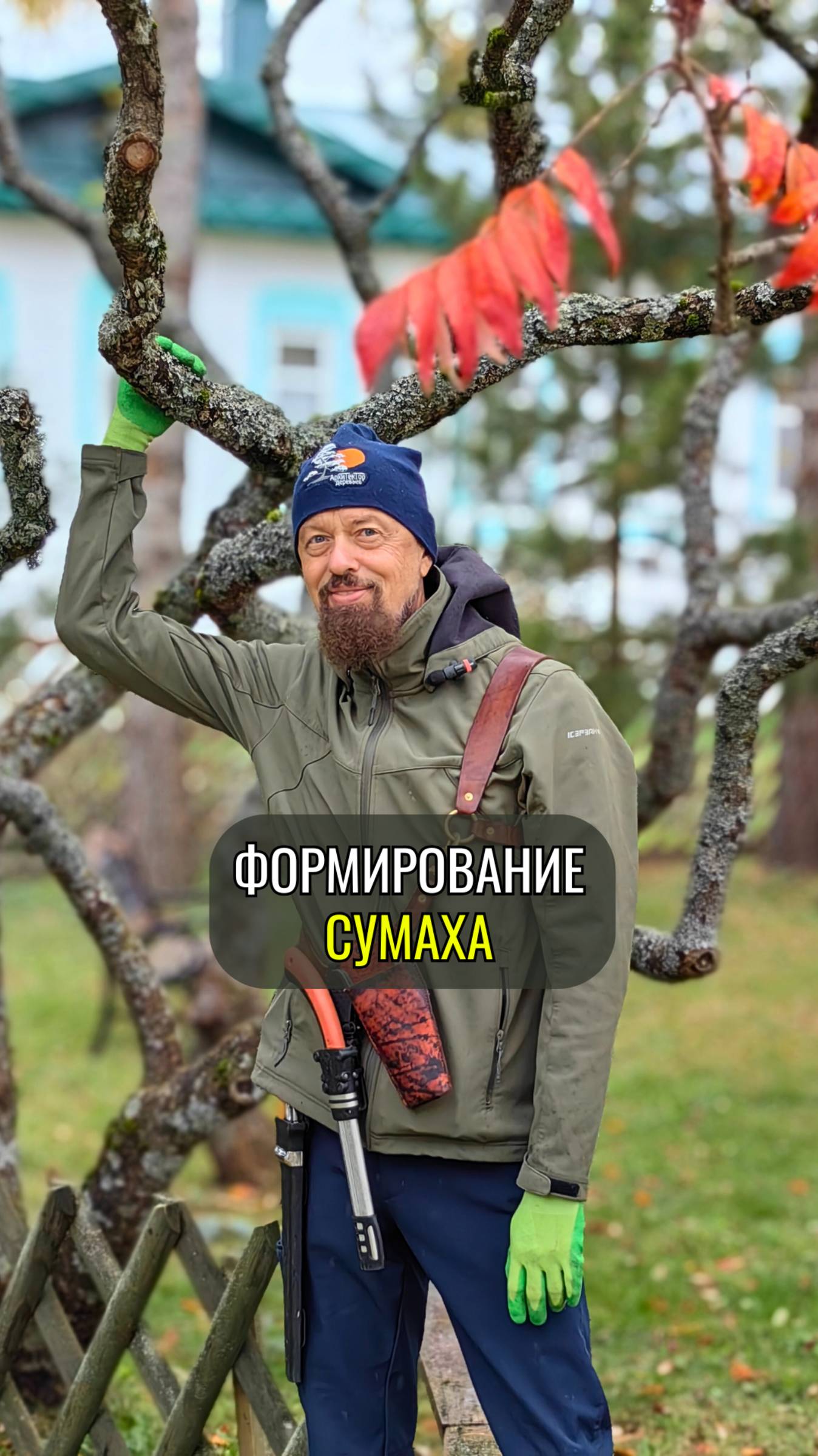 Формирование сумаха 🌿#красивоедерево #сад #растения #обрезкадеревьев #сумах #ландшафтныйдизайн смотреть онлайн