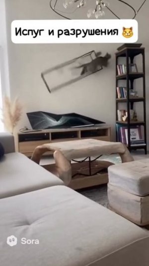 Пугать кошаков не стОит, чревато последствиями 🙀😸