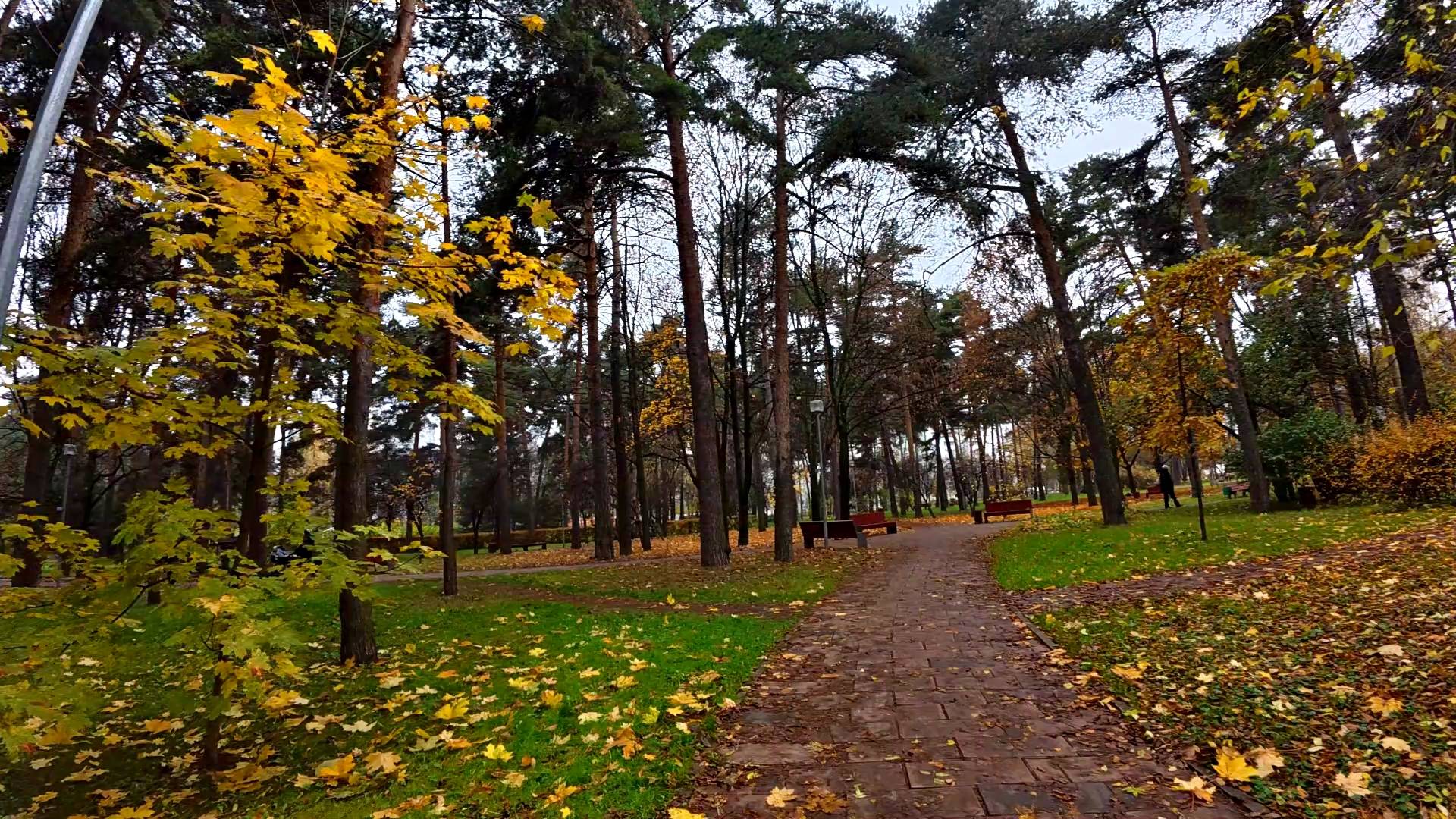 Парк Сосенки. Царицыно. Уличные молчаливые прогулки по городу. Часть 6. смотреть онлайн