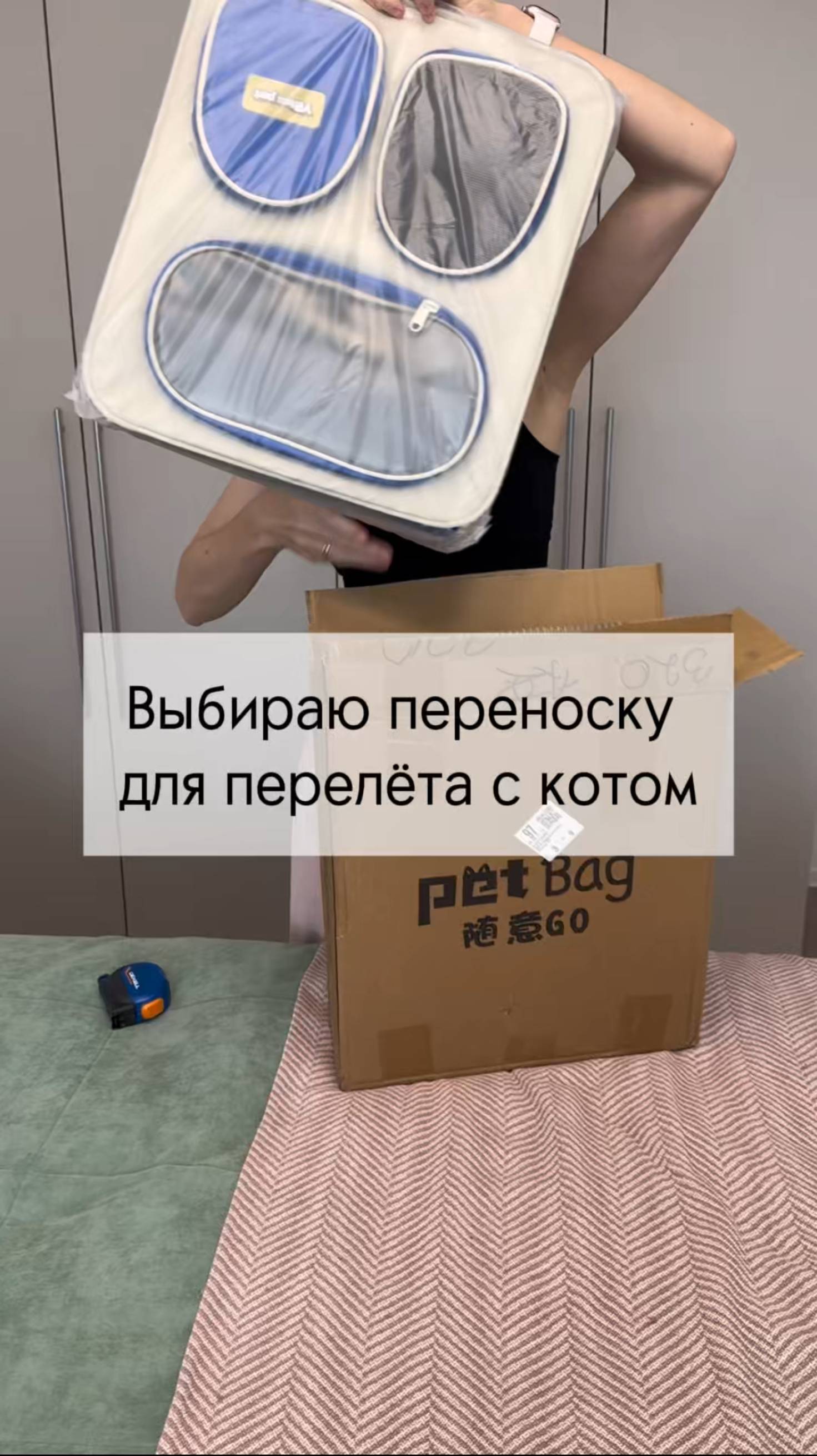 #котики #рэгдолл #ragdoll #путешествияпороссии #перелет #вдорогу