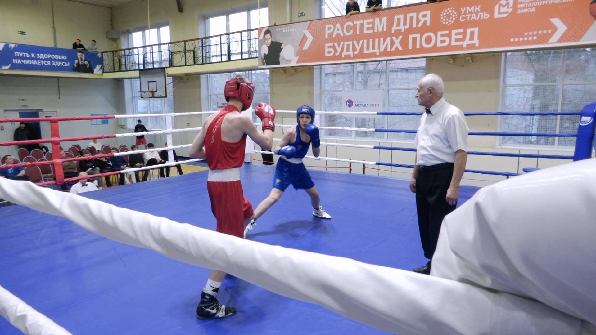 Боксеры из 16 городов начали борьбу за «Кубок Константина Цзю» смотреть онлайн