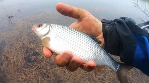 ТАКУЮ РЫБАЛКУ ЖДЕШЬ! КРУПНАЯ ПЛОТВА НА УДОЧКУ ВЕСНОЙ (2020 г)