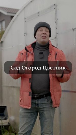 Закрывать ли дверь в теплицу на зиму