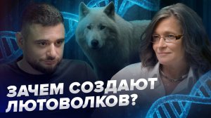 Биология и ИИ | Зачем ученые создают лютоволков? | Мария Попцова