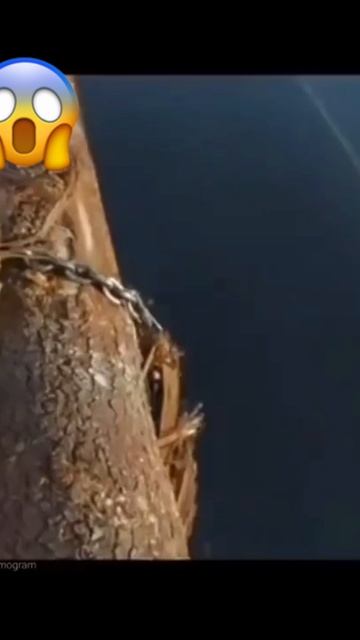 Что за фильм кто знает??? смотреть онлайн