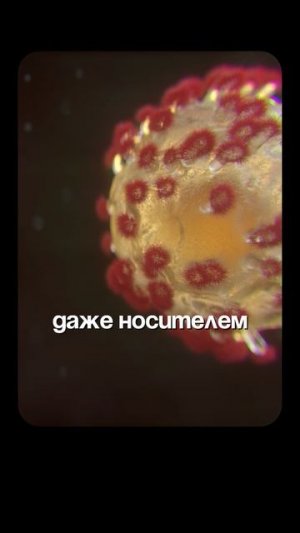 ВИЧ | Глеб Соломин, Гельфанд