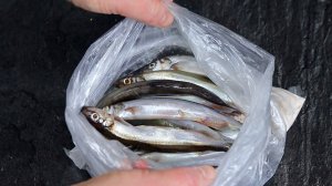 Никакой грязной посуды! Никакого неприятного запаха! Гениальный рецепт приготовления МОЙВЫ!!!