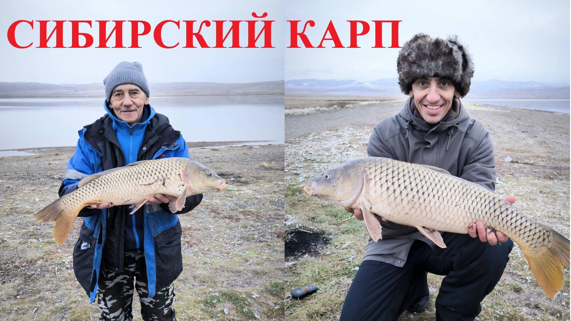 Рыбалка на карпа, сазана. Рыбалка в Хакасии. Рыбалка на фидер.