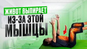Выпирает живот? Вылечи одну МЫШЦУ и живот УЙДЕТ! Как убрать ГИПЕРЛОРДОЗ и НАКЛОН ТАЗА?