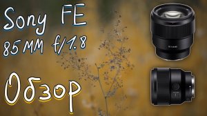 #055 📸 ТЕСТ SONY 85 mm f/1.8 🤔