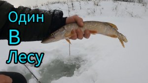 Рыбалка на Косынки. Новая Локация. С утра было не плохо.