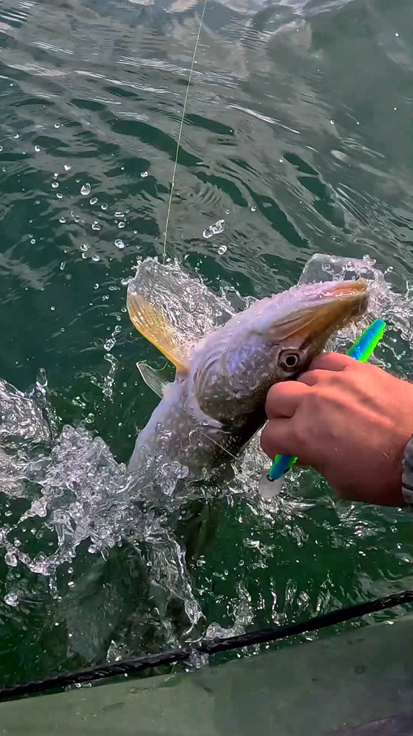 Чудом выжил!🤣 Щука чуть палец не оторвала!😱💥 #ловлящуки #рыбалка #щука смотреть онлайн