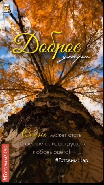 Доброе утро #Утро #рек #рекомендации #лайк #яппи #рутуб #подписка смотреть онлайн