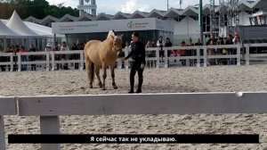 🎥 5 трюков, которые сделают вашу лошадь звездой!
