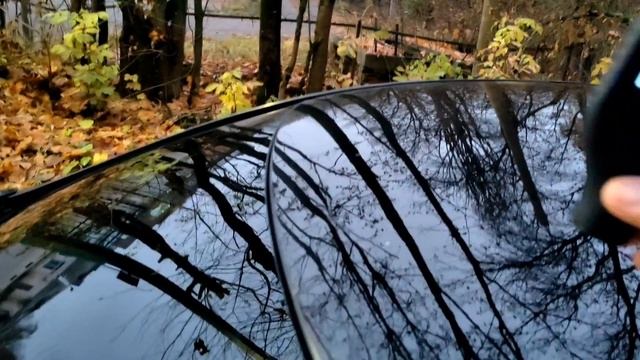 В родном окрасе😉 смотреть онлайн