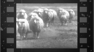 105 летие Республики Калмыкия, Черноземельский район