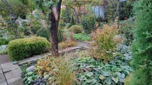 КАКИЕ РАСТЕНИЯ УКРАШАЮТ ЮЖНЫЙ САД ОСЕНЬЮ И ЗИМОЙ 17.10.2025 г. Пятигорск, зона 6б.