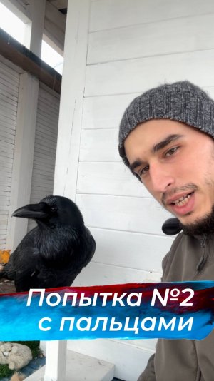 Проверка знаний! Будем еще повторять 😅