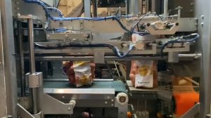 Работа упаковщика типа D-pack “Домик» производства SEMER (СЕМЕР).