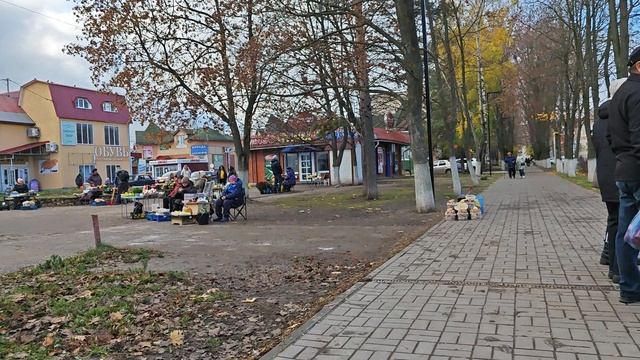 Новомичуринск Волкова 12, обзорное.mp4 смотреть онлайн