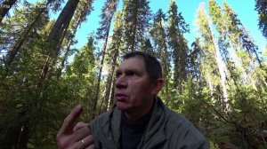 Поехал готовится к зимней охоте. Чищу путик где стоят капканы. 1 серия