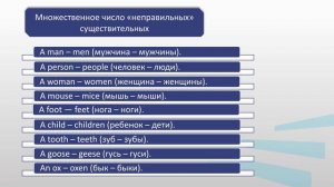Свеженцева 2_1
