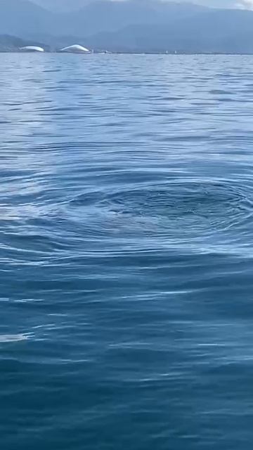 И опять по красоте. смотреть онлайн