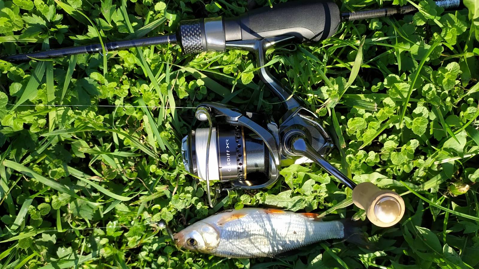 Десна. Нано-джиг 22 сентября 2025 года