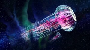 Самое Мощное Исцеление во Сне. Матрица Гаряева для Регенерации и Исцеления Всего Тела во Время Сна