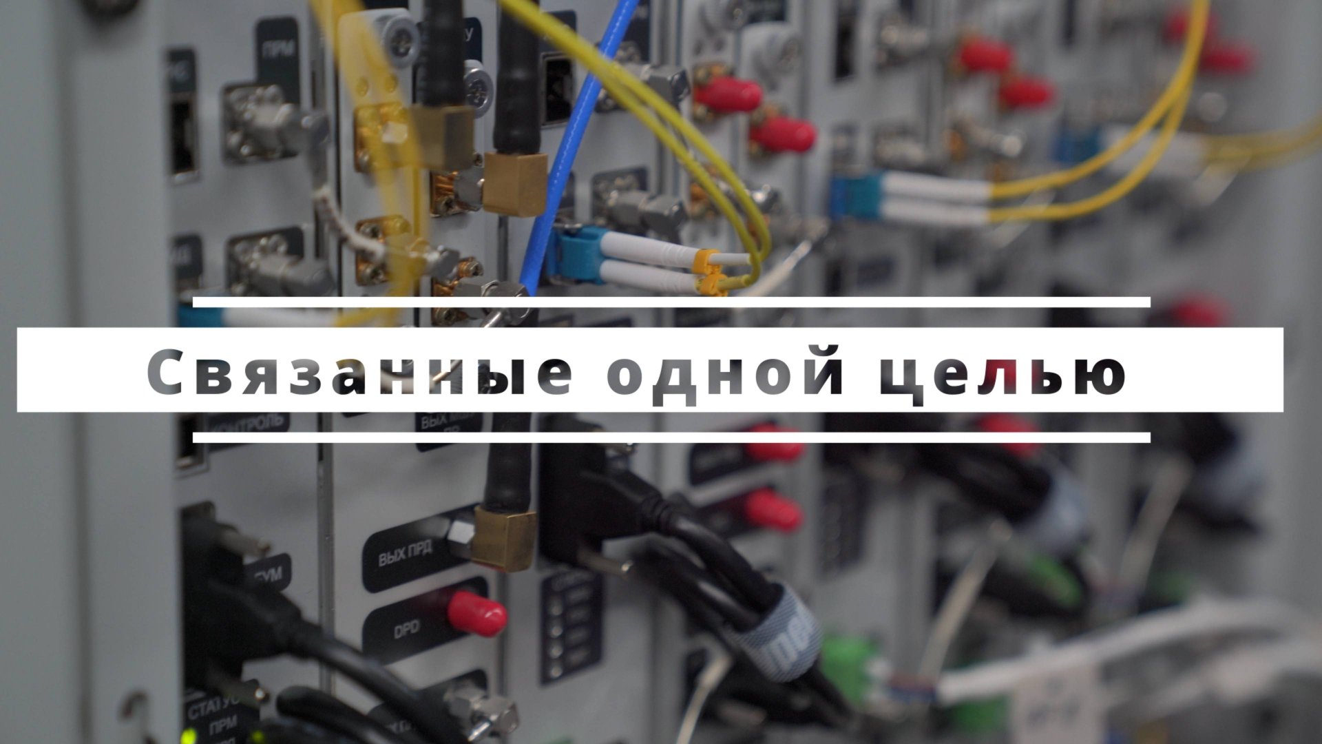 Связанные одной целью смотреть онлайн