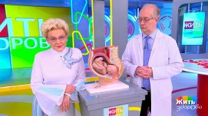 Краснуха и беременность: последствия и ответственность. Жить здорово! Фрагмент выпуска от 23.10.2025