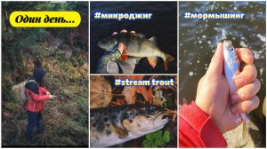 #мормышинг, #микроджиг, #stream trout  | Одним осенним днём..... | поймал САЛАКУ |