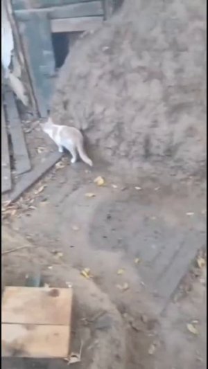 СВО👉ТЕЛЕГРАММ👈