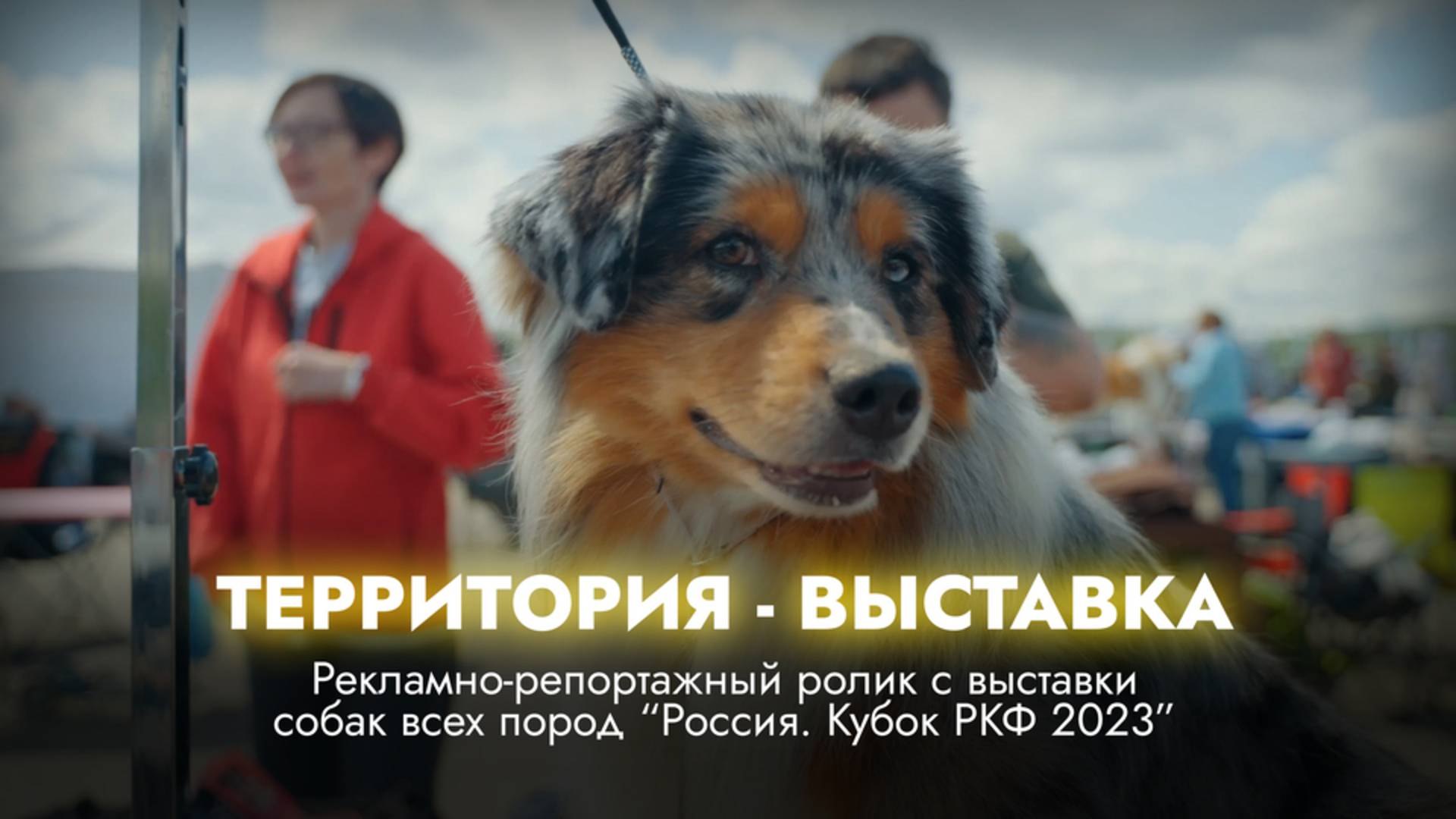 ТерриториЯ - выставка смотреть онлайн