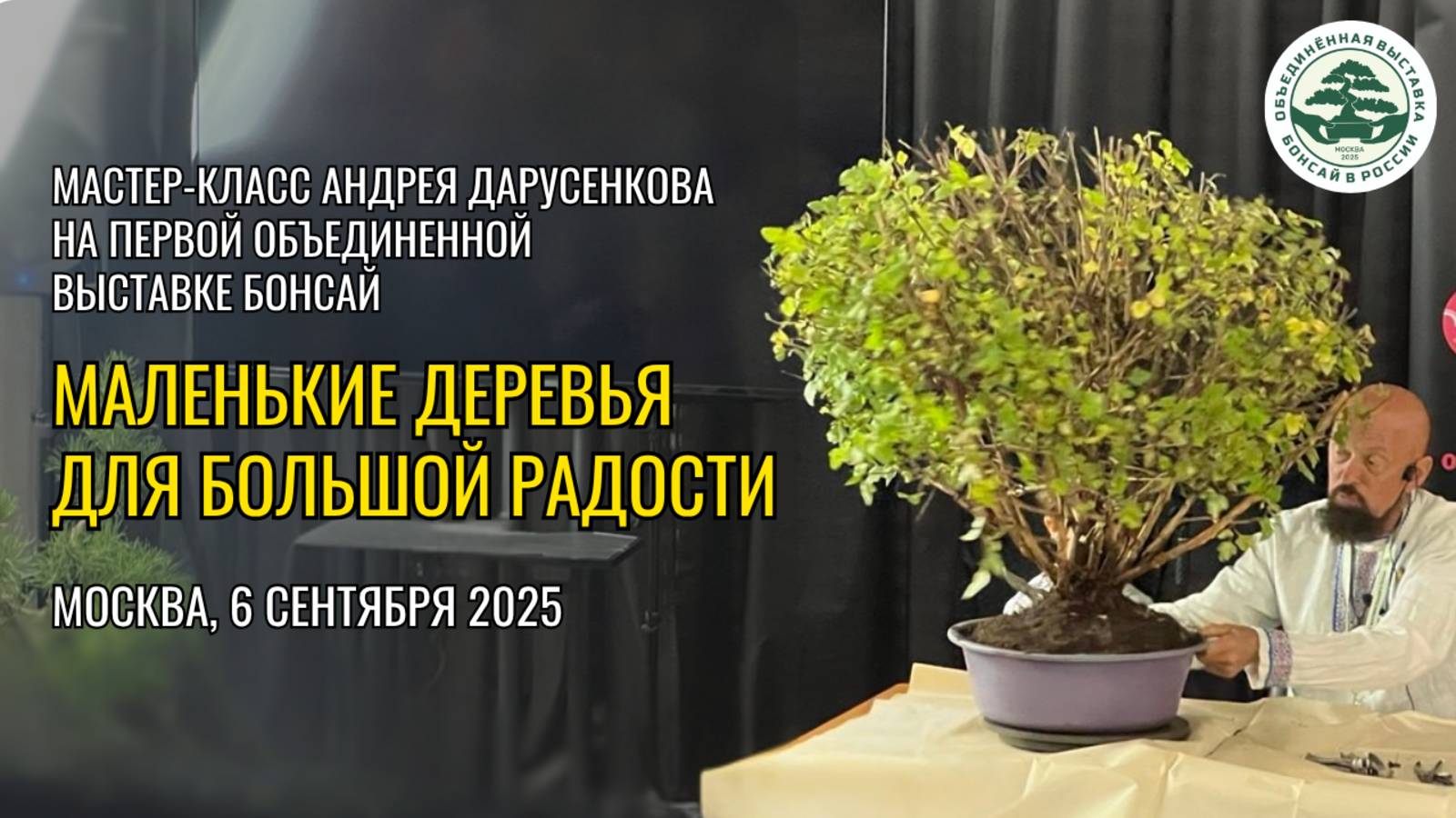 МАЛЕНЬКИЕ ДЕРЕВЬЯ ДЛЯ БОЛЬШОЙ РАДОСТИ смотреть онлайн