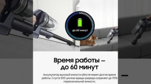 Вертикальный беспроводной пылесос для дома Samsung VS20B75ADR5/EV