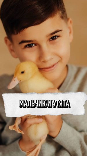 Мальчик И Его Утята❤️