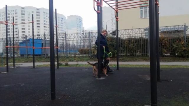 воздействие натяжением поводка