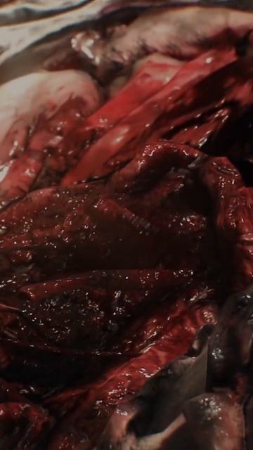 Минус химера #Dying Light: The Beast смотреть онлайн