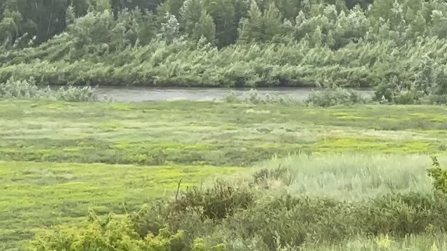 Для Авито смотреть онлайн