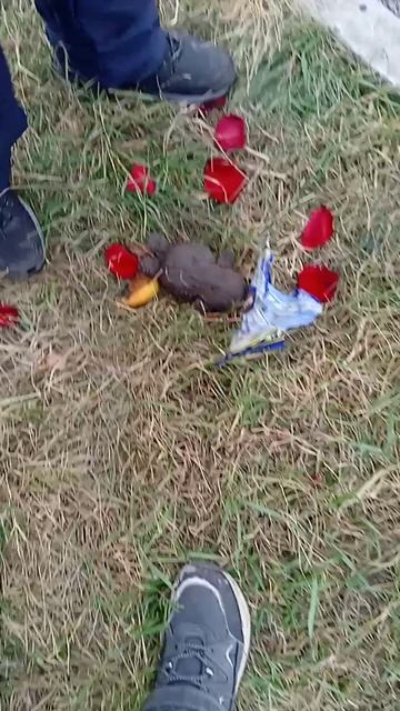 у лабубки романтический ужин 😋