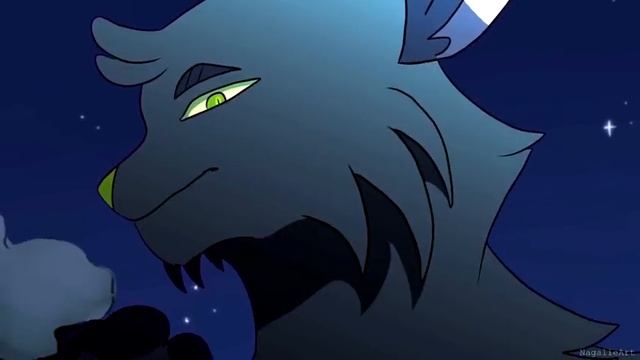 мап/остролистая/коты воители