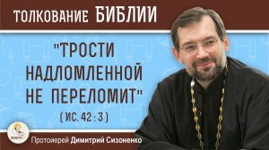 «Трости надломленной не переломит» (Ис. 42:3).  Протоиерей Димитрий Сизоненко