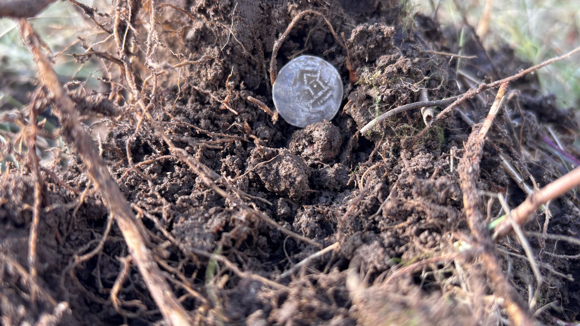 Серебряный день смотреть онлайн